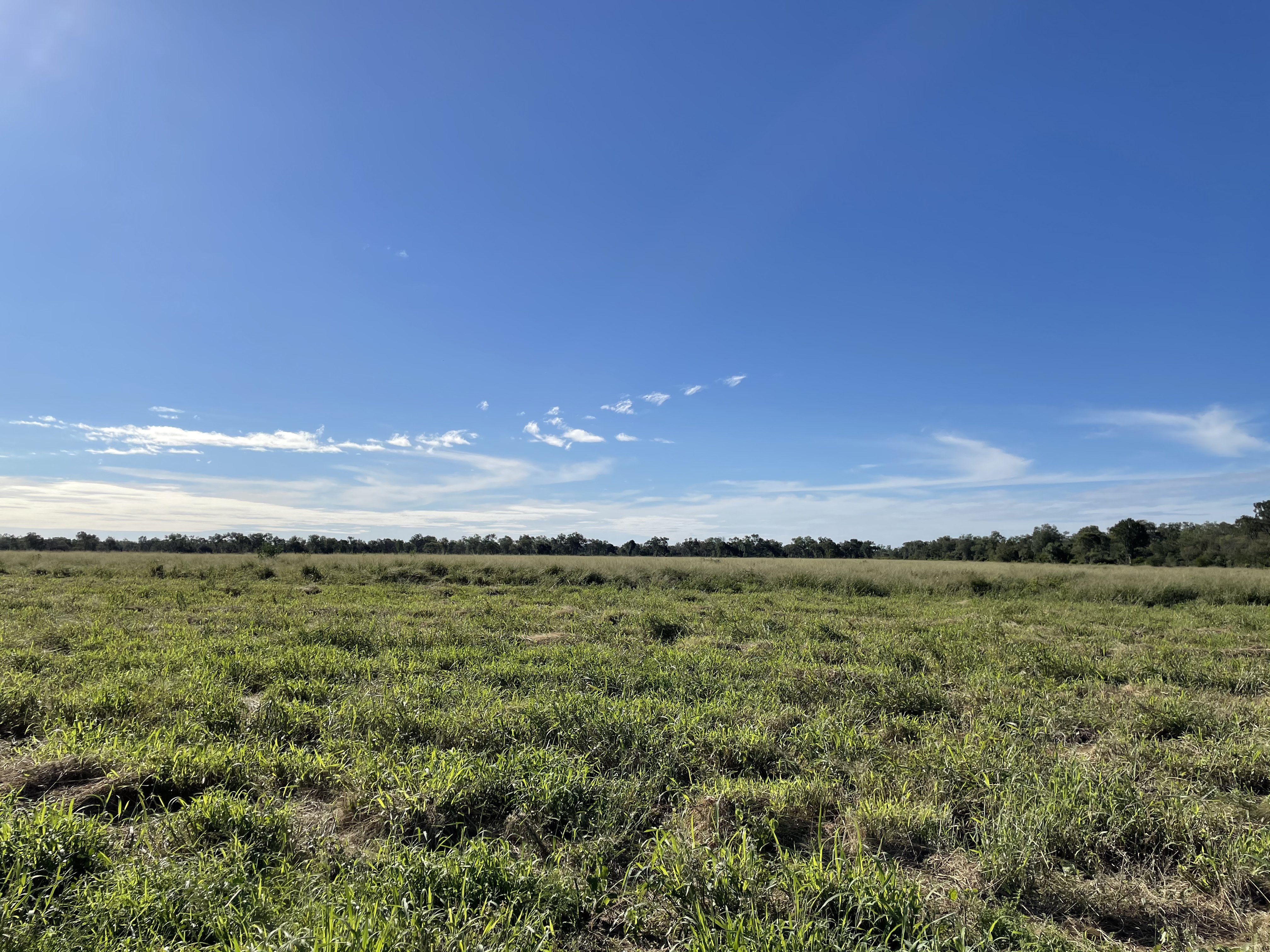 Monte chaqueño — Don Antonio Leña Seleccionada
