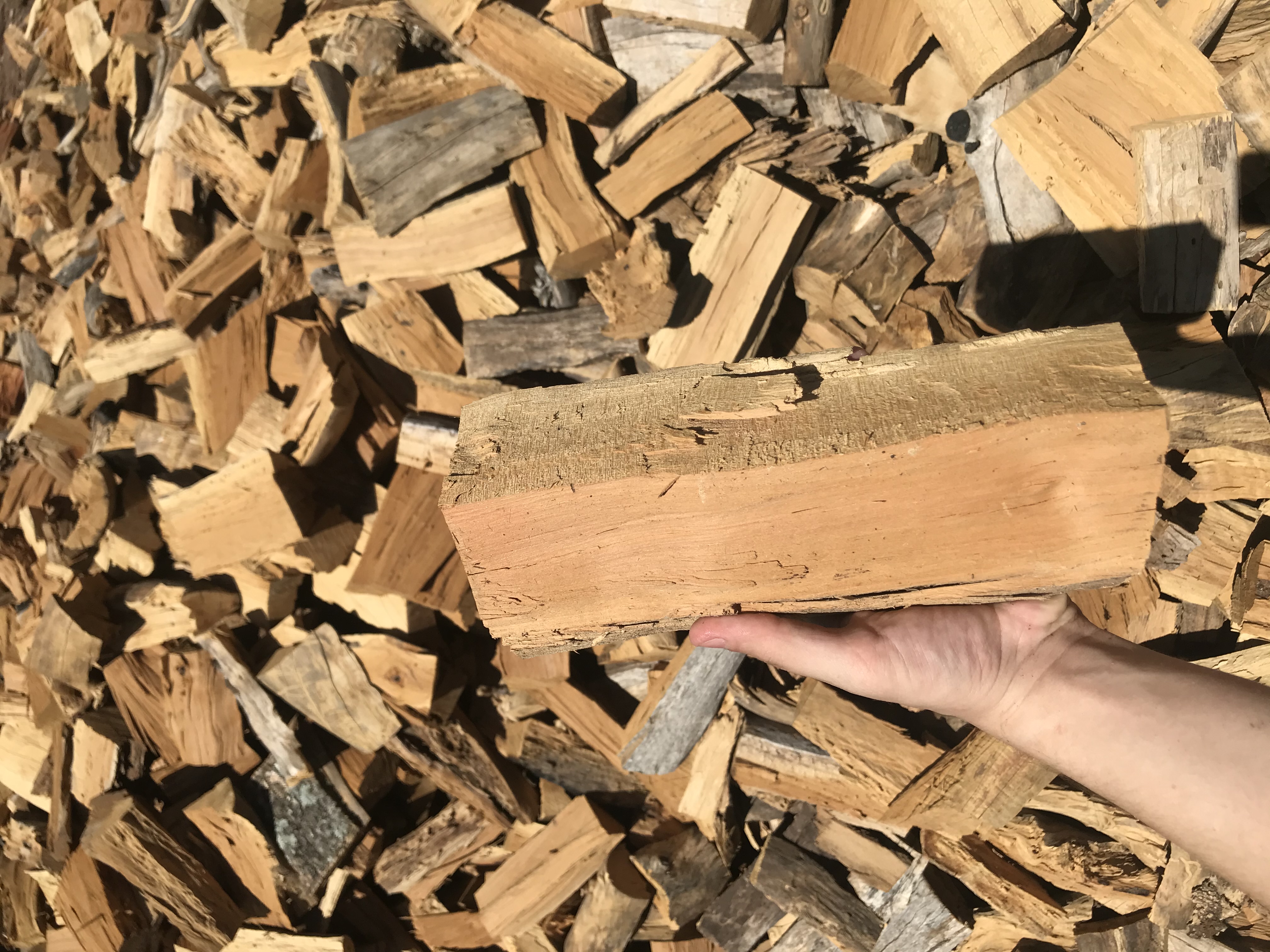 Quebracho blanco seleccionado — Don Antonio